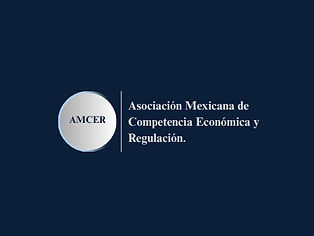 Logo AMCER. Propuesta_edited.jpg