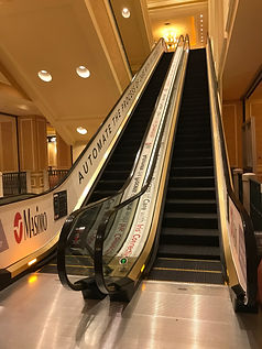 IMG_1493.JPEG