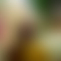 O Sacramento da Extrema-Unção ou Unção dos Enfermos