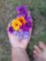 Sortie plantes sauvages comestibles et médicinales