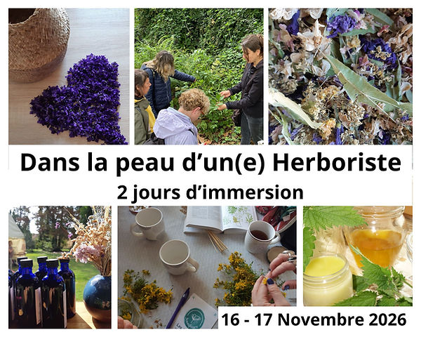 Dans la peau d’un(e) Herboriste Formation de 5 Jours (6).jpg