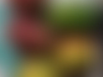 Safra da Manga: Benefícios, Potencial de Lucro e Oportunidade para os Cooperados