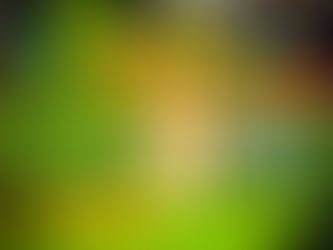 COOPRONDON AVANÇA NO FORNECIMENTO PARA O PNAE EM ABEL FIGUEIREDO E RONDON DO PARÁ