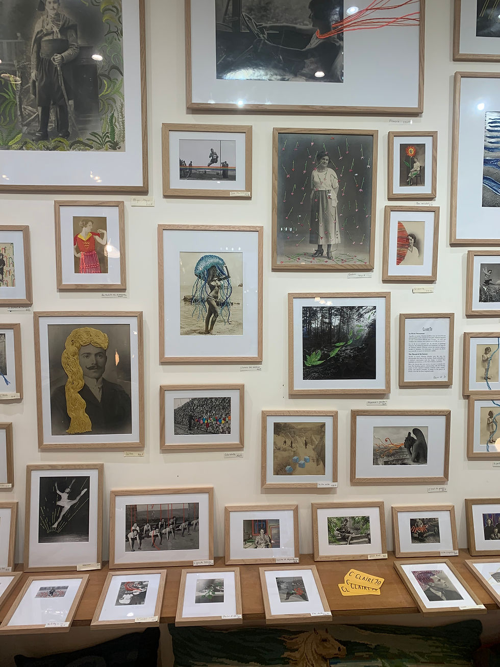 Miniature : L’année des méduses 