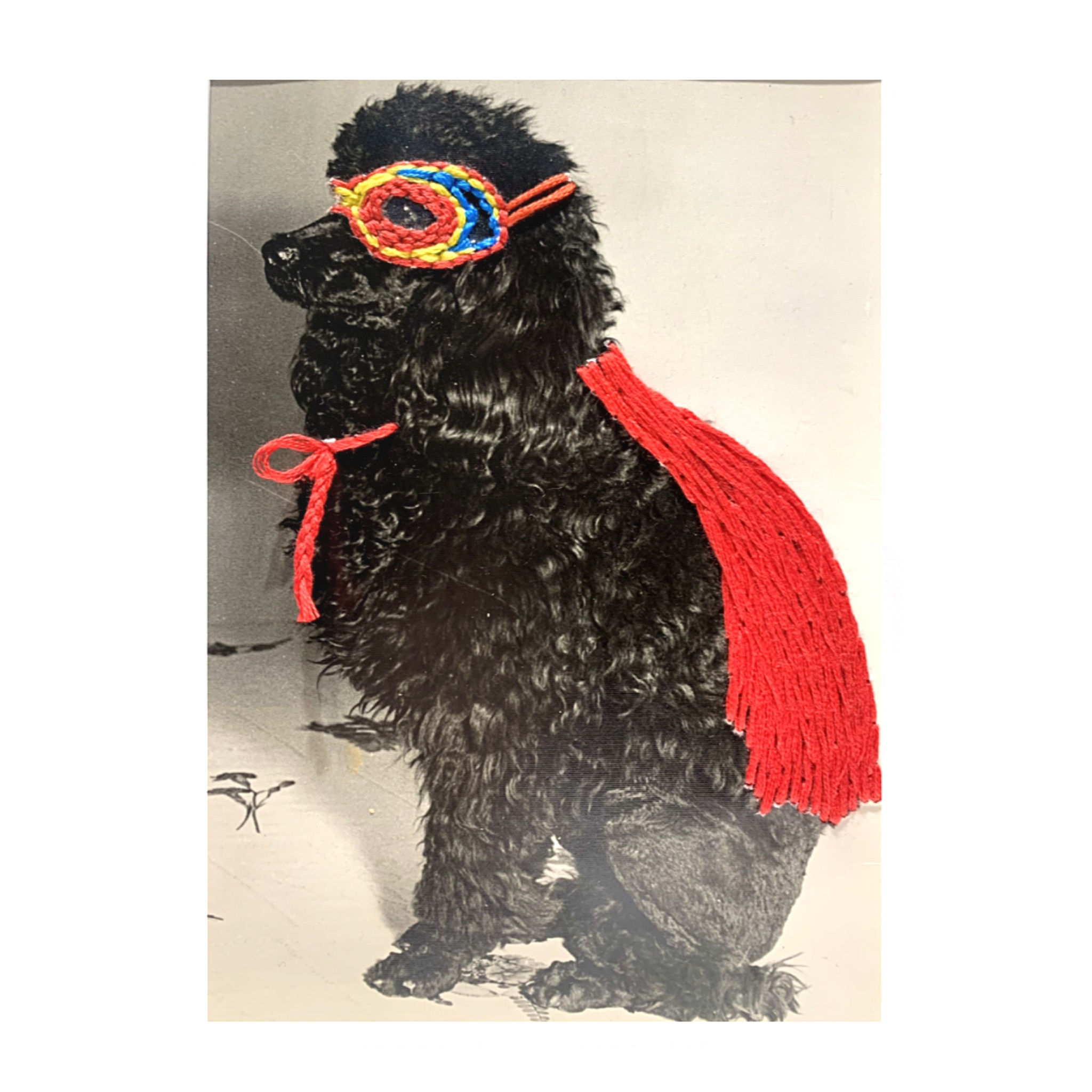 Derrière mon loup…