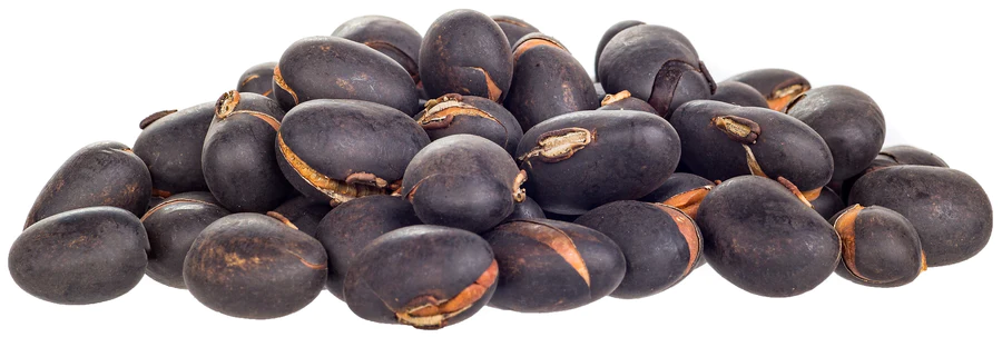 Mucuna-Pruriens-Seeds.webp