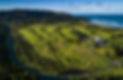 Muriwai_3.jpg