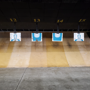 trap curtain for a shooting range 