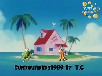 Tortue géniale dragonball ab toys sodam