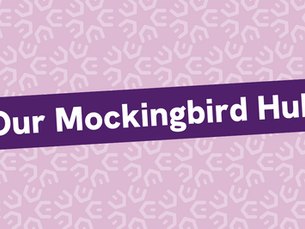 Meet the Mockingbird Hub