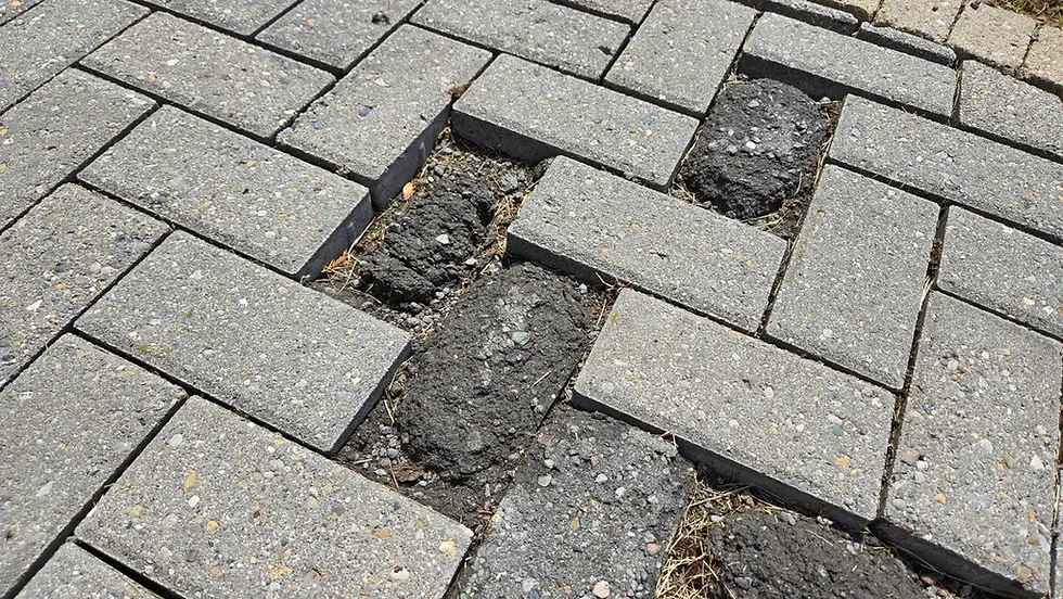 Low Quality pavers needing to be replaced