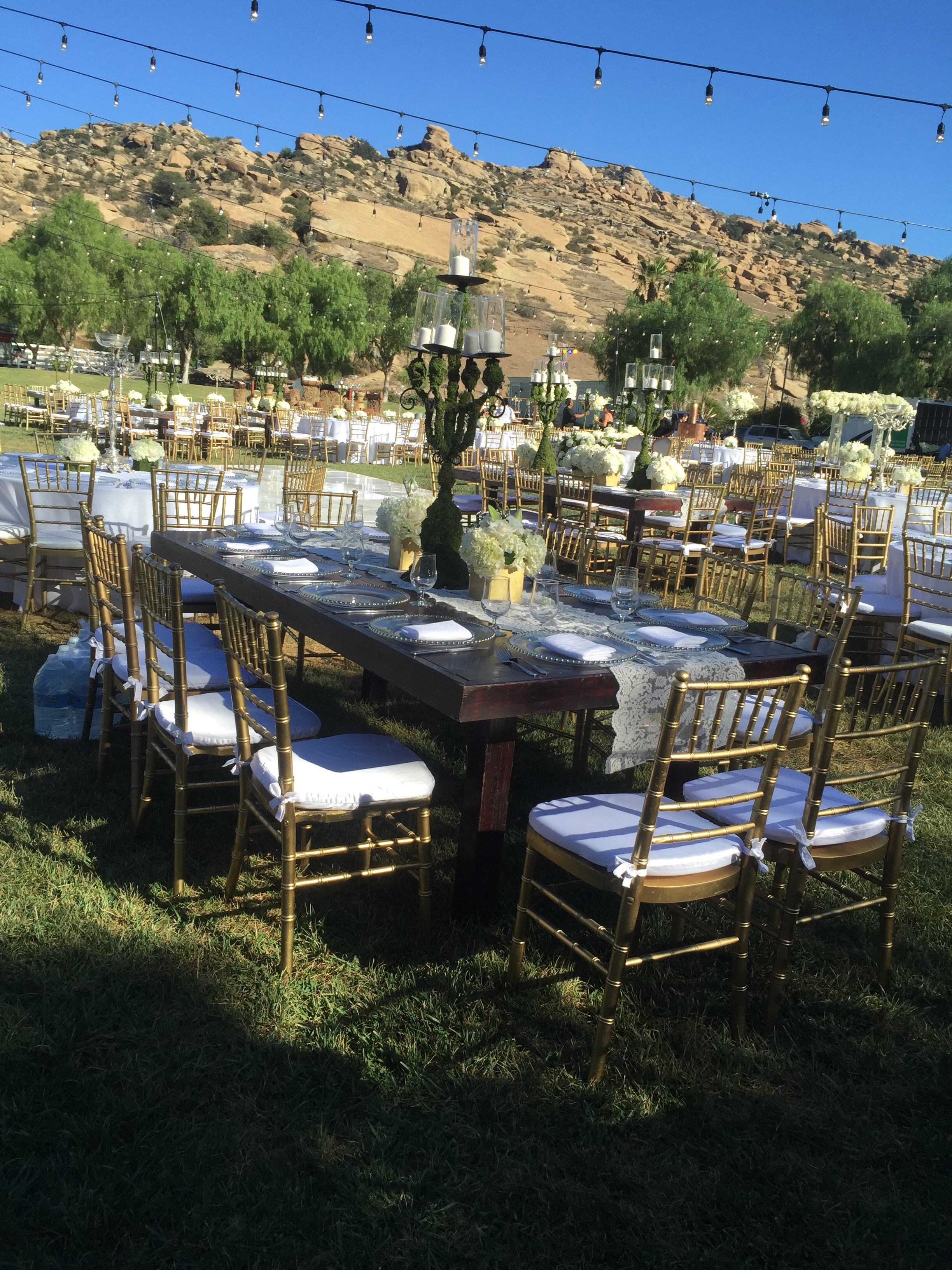 Hollywood Event Rentals| Wedding Planner