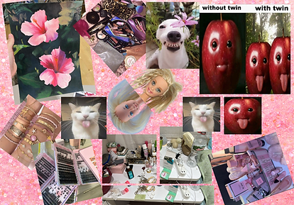 Disseny sense títol (1).png