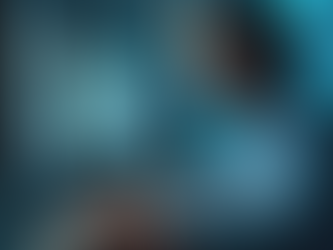 ERPNext Customization Cost: What You Need to Know