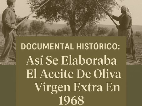 Así Se Elaboraba El Aceite De Oliva Virgen Extra En 1968