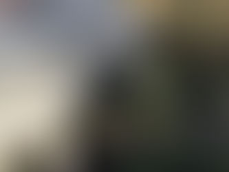 Barnett Highway Westbound Bridge