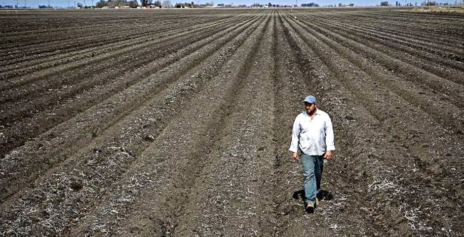 drought-farm1W-1024x621.jpg