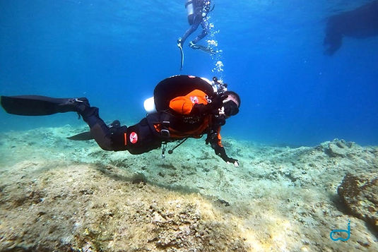 diver in diving