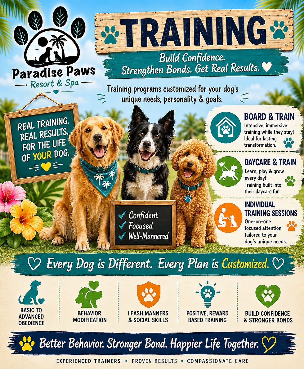 training page