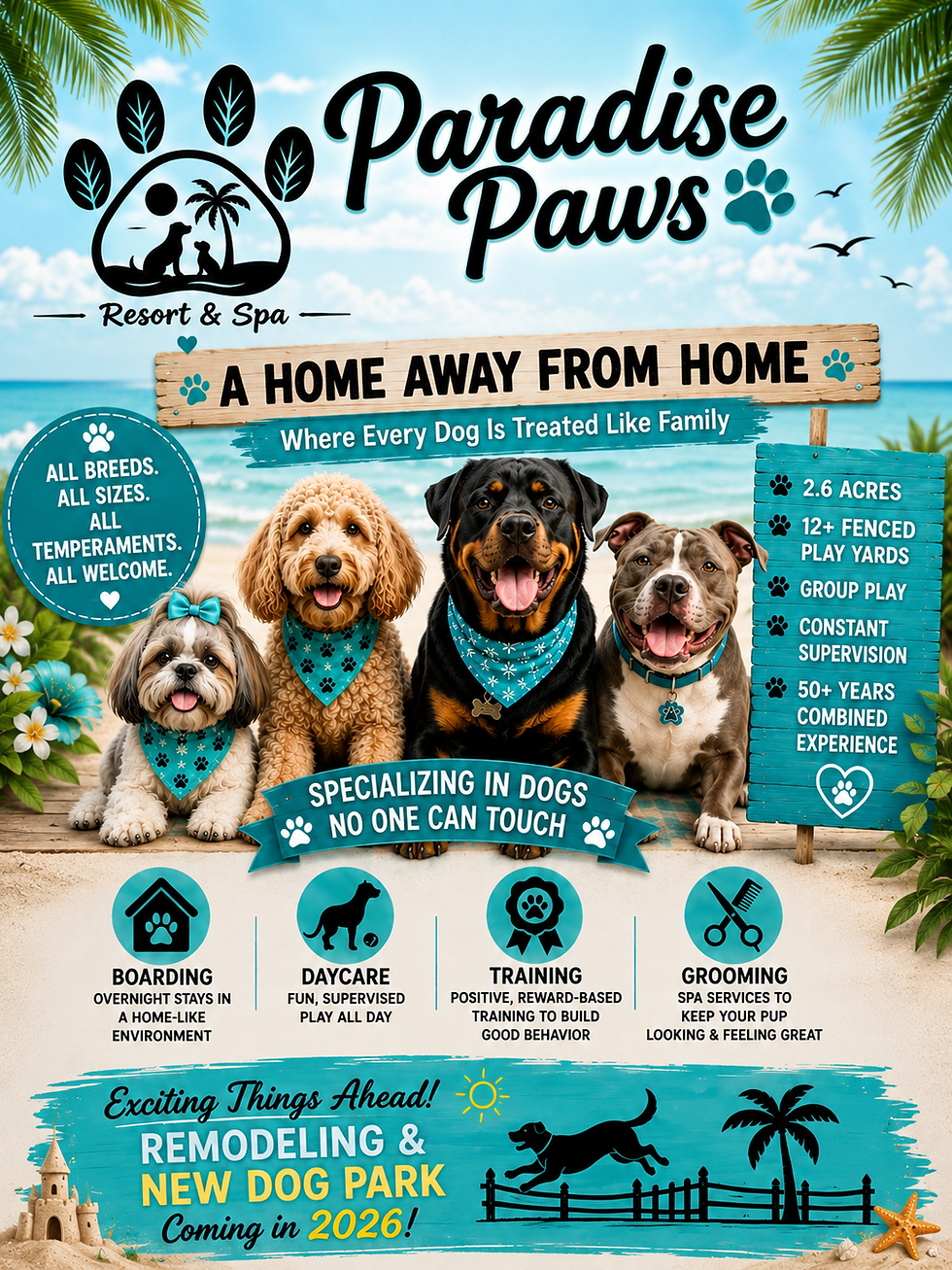 Paradise Paws Info 2