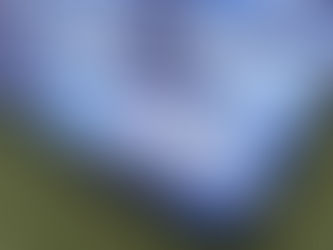 World Wide Technology & Dell Technologies Custom Golf Towels