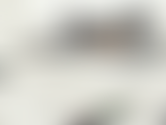 One Story House Plans: Your Complete Guide to Single-Level Living Excellence