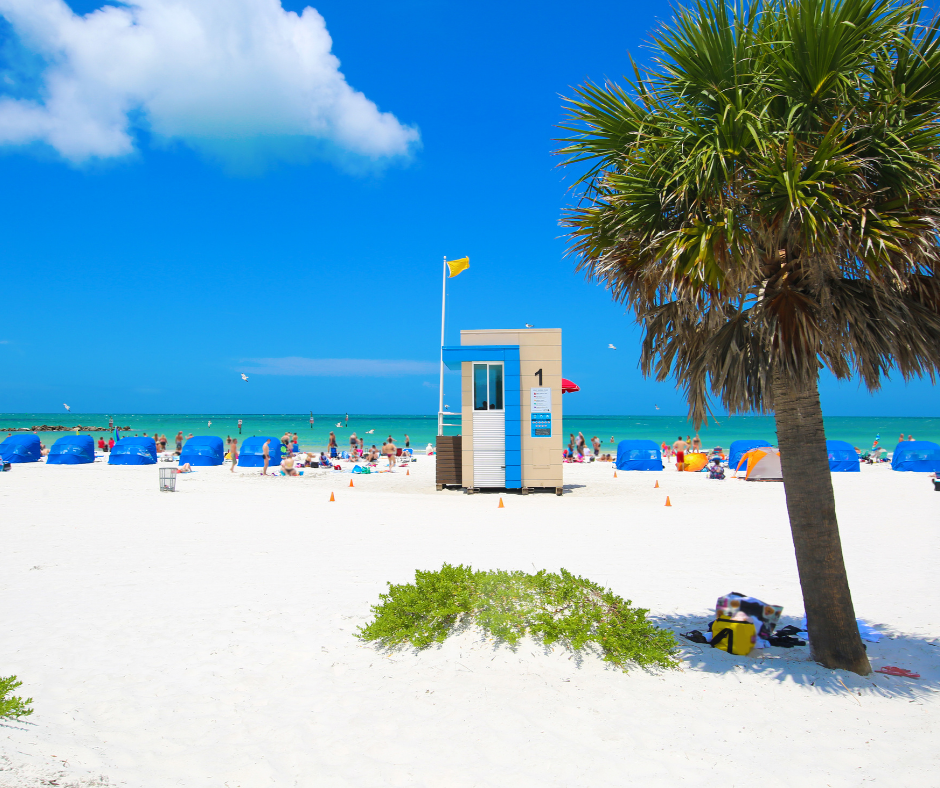 clearwater 2.png