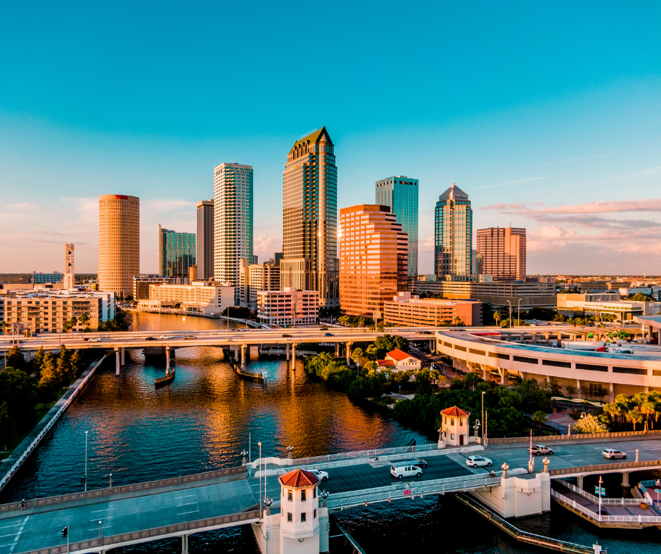 tampa 2.png