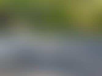 Flat roof with a solar panel, surrounded by lush green trees. Sunlight casts shadows, creating a serene and peaceful atmosphere. The image represents modified bitumen roof repair.