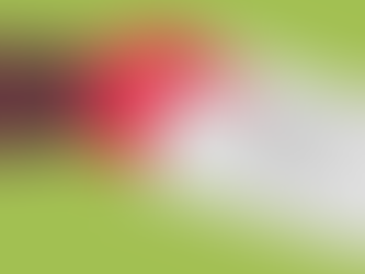 Dicas de prospecção: enviar pelos correios ou e-mail?