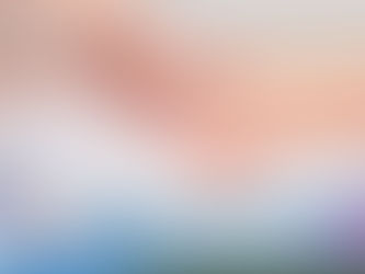 𝗧𝗲𝗰𝗻𝗶𝗰𝗮 𝗠𝗲𝘁𝗮𝗺𝗼𝗿𝗳𝗶𝗰𝗮