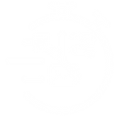 Website Graphics (4).png