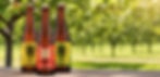 Saigon Cider Bottles