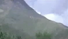 tenor.gif