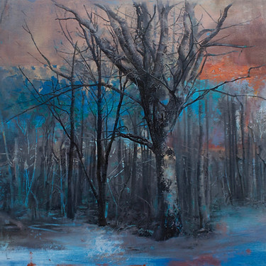 February Trees, Glenfarg .jpg