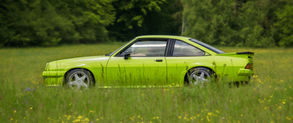 Speed and rust have taken the lives of most