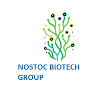 Nostoc Biotech Group logo
