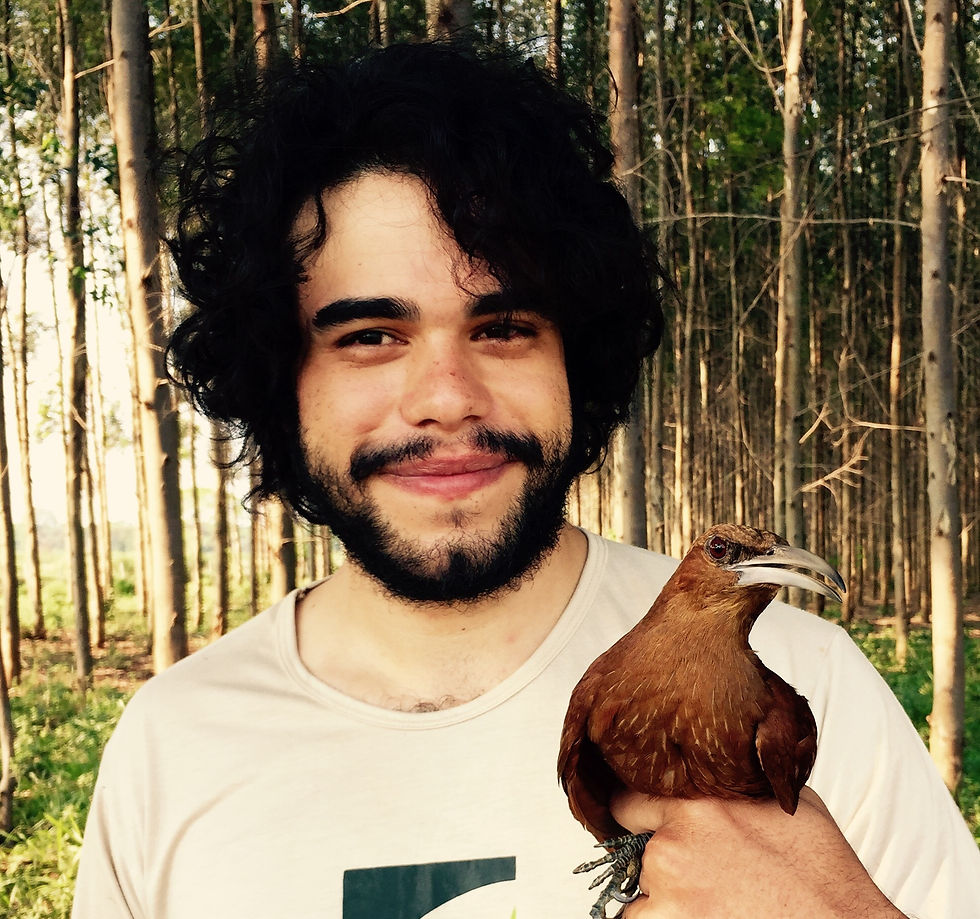 Guilherme Dalponti
