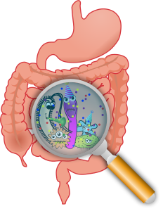 Amalgam (Mercury) Fillings Removal and Detox | Musings of a Modern Hippie