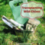 Transplanting Wild Chives | Musings of a Modern Hippie