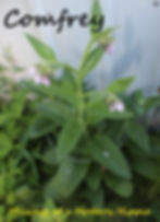 Natural Sunburn Remedies | Musings of a Modern Hippie