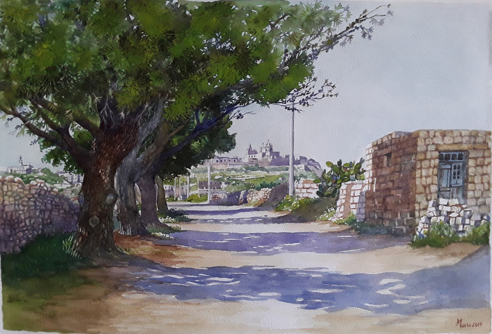 View to Medina