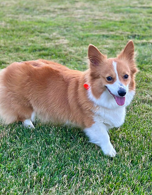 18105775516897851_edited.jpg