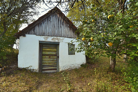 Pince a jósvafői Szőlőhegyen 