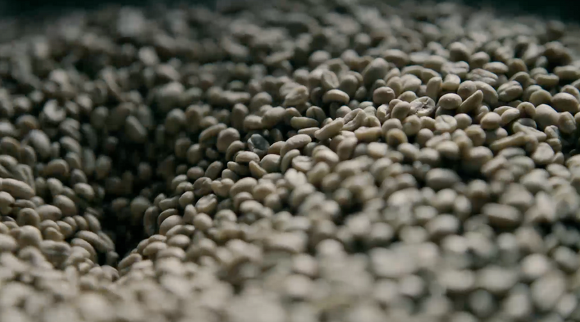 Screen Shot 2022-12-22 at 12.35.01 PM.png