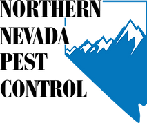 XZYPJHXH_Ana_Paredes_CompanyLogo.PNG