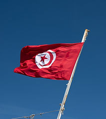 Vlag van Tunesie.jpg