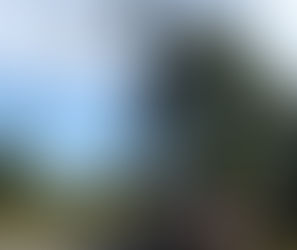 Official Trailer Debut