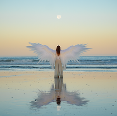 FlyingInLove_AlbumArt_FINAL.png