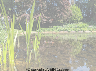 Murky water, green plants, lake, what lies beneath